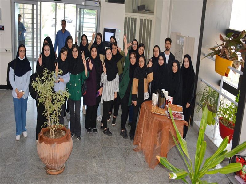 روز دختر